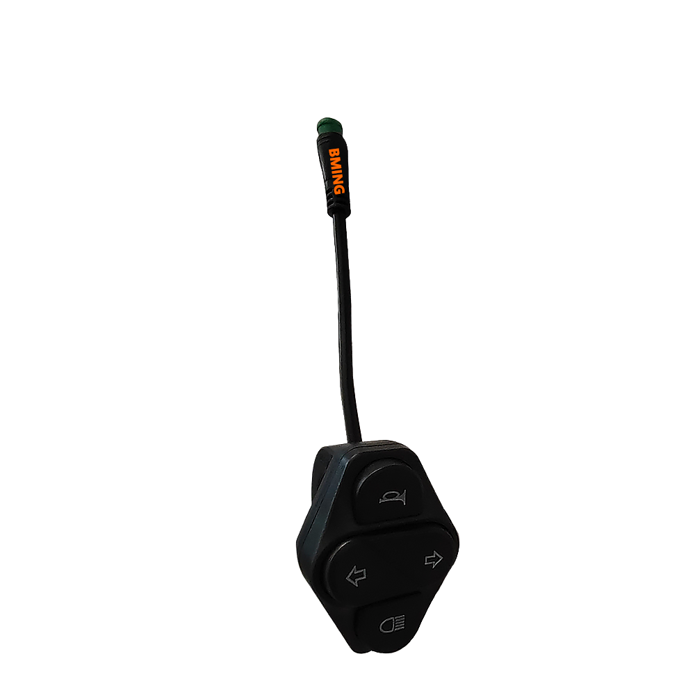 G2 Master Light switch A verison (BMING) 2024